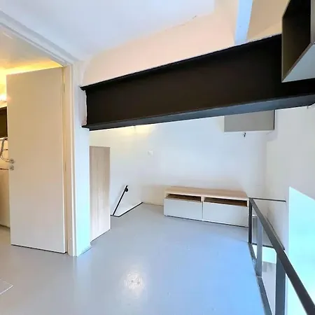 Minimalistic Style Loft In The City Center فيلنيوس